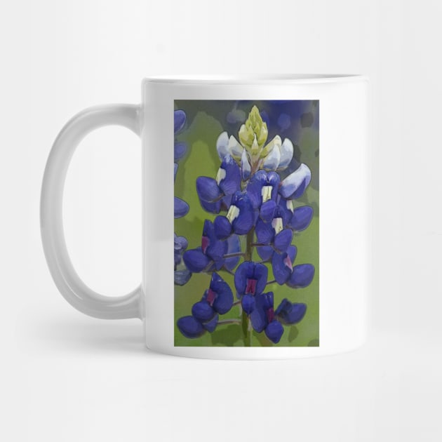 Texas Bluebonnet by elisewied